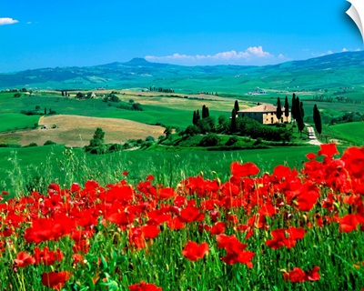 Italy, Tuscany, Val d'Orcia landscape