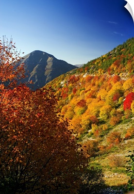 Italy, Umbria, Monti Sibillini National Park, Fall landscape