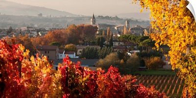 Italy, Umbria, Sagrantino wine road, Bevagna, Town and Sagrantino vineyards