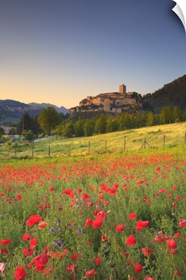 Italy, Umbria, Terni district, Valnerina, Poppies on a field near Arrone village