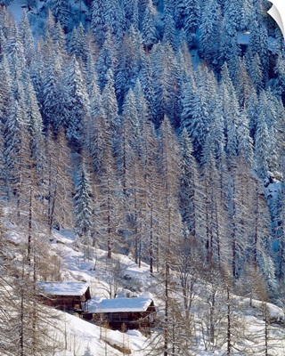 Italy, Valle d'Aosta, Stadel (Walser architecture)
