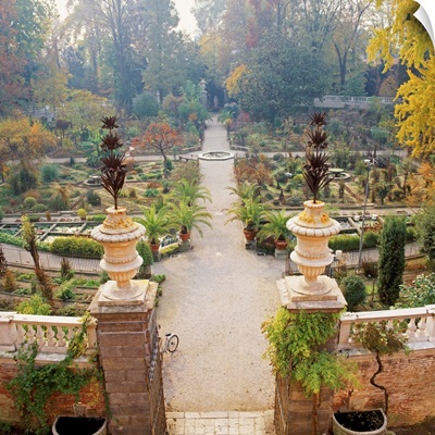 Italy, Veneto, Padua, Orto Botanico, the oldest botanical garden of the world