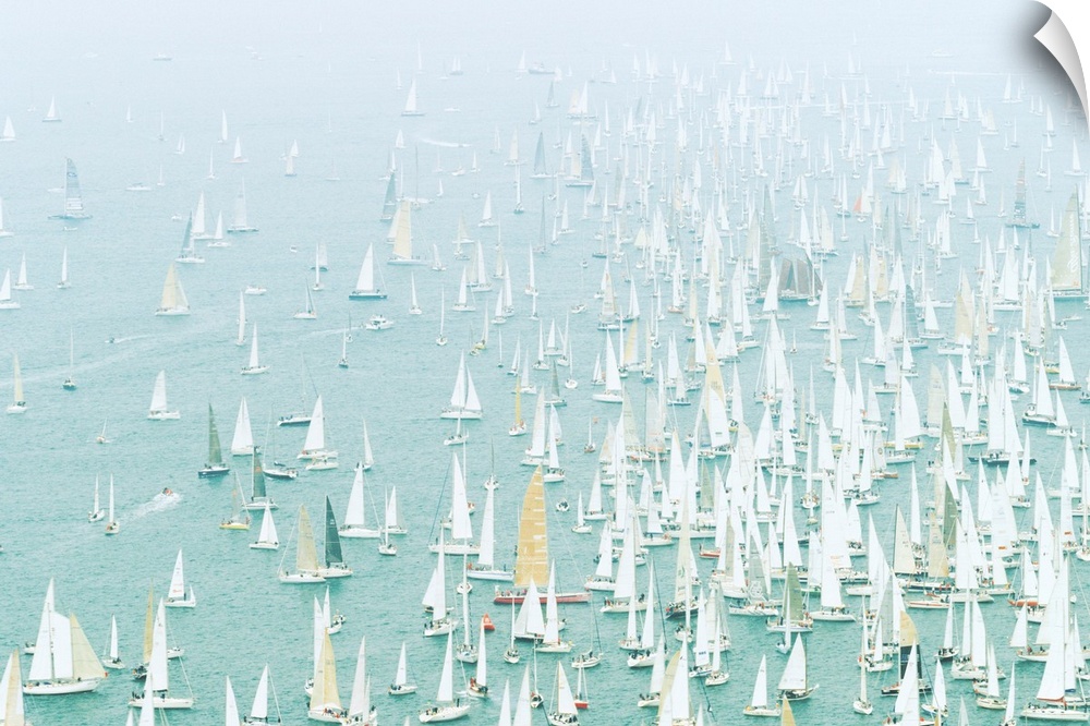 Italy, Venice, Trieste, Barcolana, a famous sailing regatta