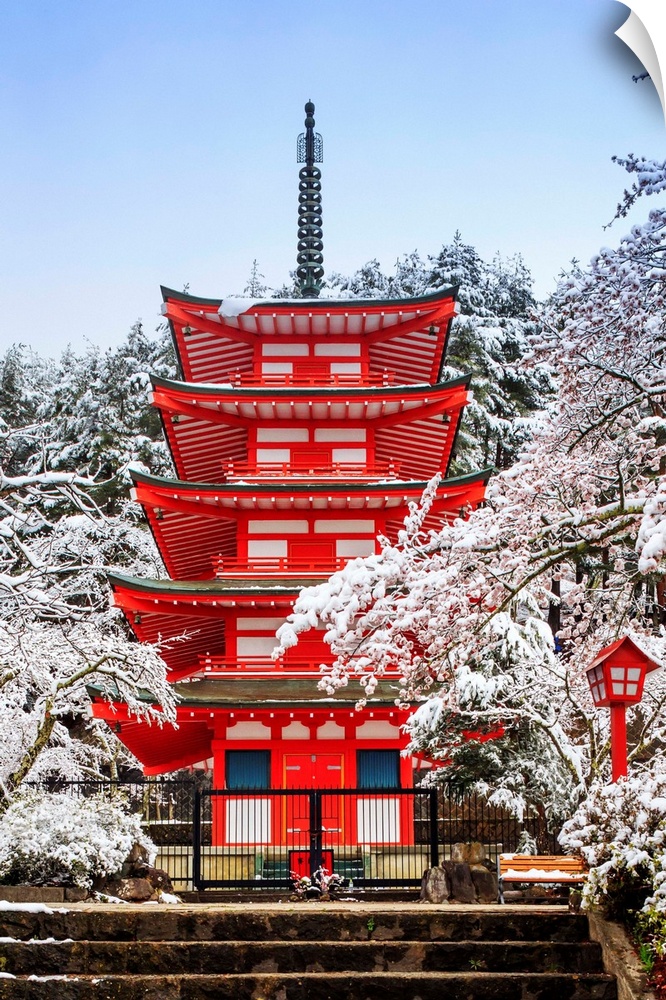 Japan, Chubu, Fuji-Hakone-Izu National Park, Chureito Pagoda, Arakura Sengen Shrine during cherry blossom, sakura.