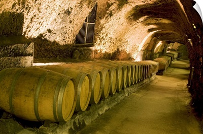 Lebanon, Beqaa, Barrels in the wine cellar of the Chateau Ksara winery