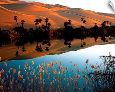 Libya, Fezzan, Ubari Desert, Lake Oum el Ma