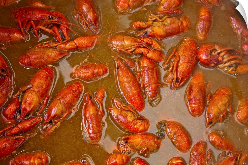 Louisiana, New Orleans, crawfish cooking