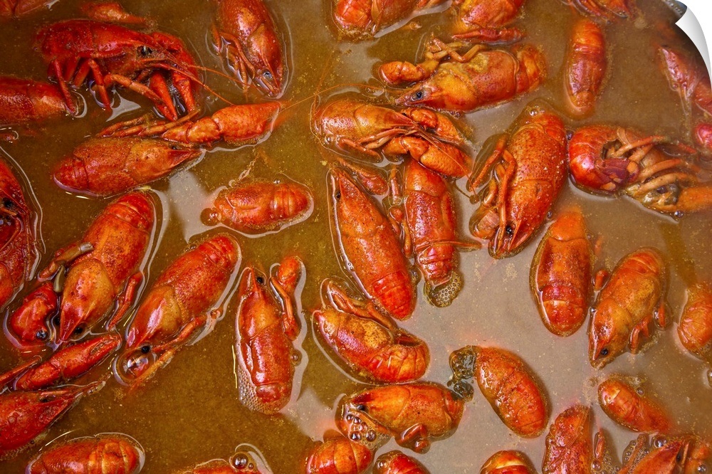 louisiana-new-orleans-crawfish-cooking-wall-art-canvas-prints