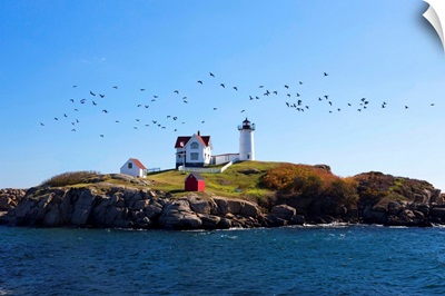 Maine, New England, Nubble Lighthouse On The Savage Rock With A Flock Of Birds Flying By