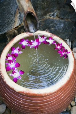 Malaysia, Kedah, Langkawi, Pot with water and orchids