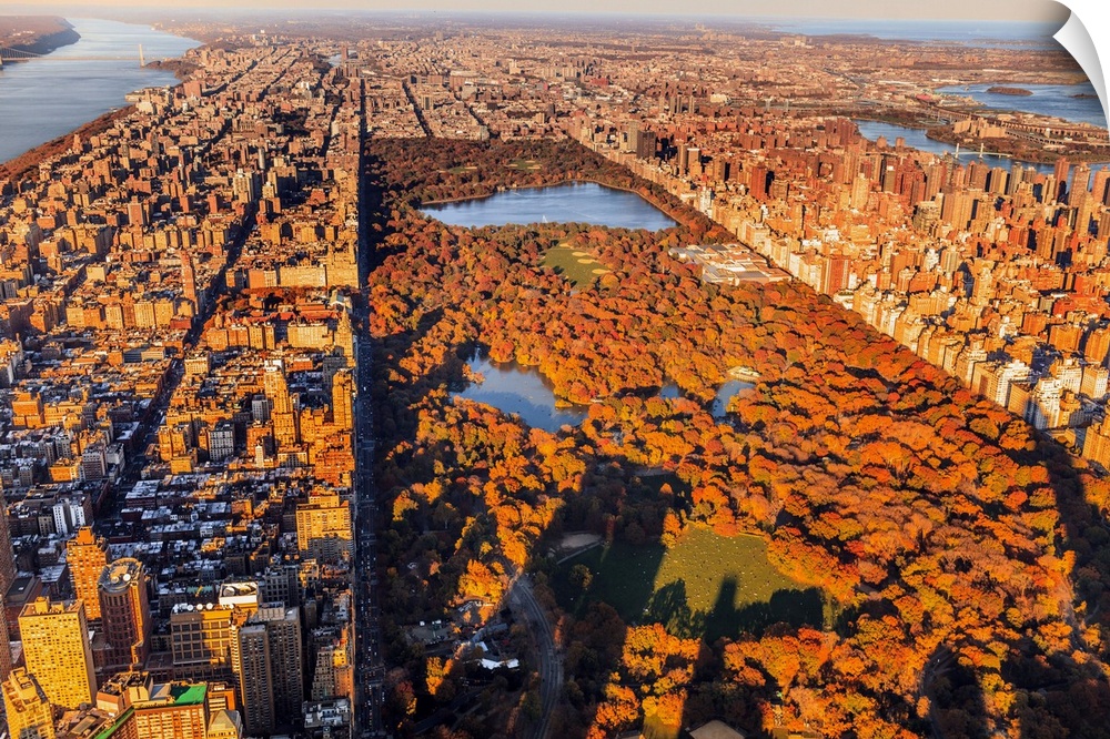 USA, New York City, Manhattan, Aerial view towards Central Park with foliage at sunset