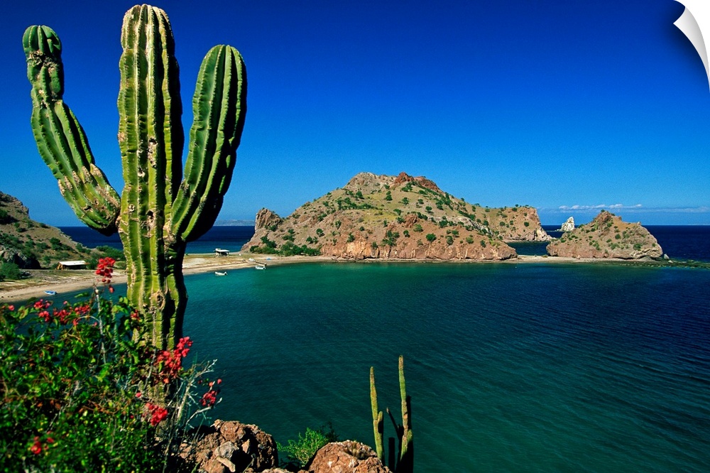 Mexico, Baja California Sur, Gulf of California, Sea of Cortez, Bahia Agua Verde