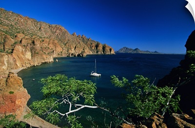 Mexico, Baja California Sur, Sea of Cortez, Isla Danzante bay