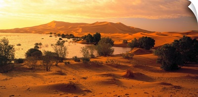 Morocco, Erg Chebbi desert, sand dunes