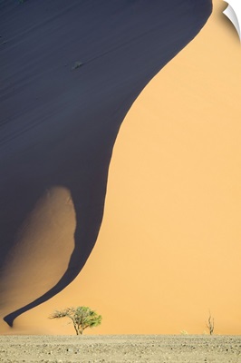 Namibia, Hardap, Sossusvlei, Namib Desert, High Sand Dunes