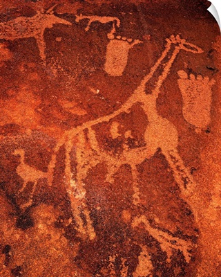 Namibia, Namib Desert, Damaraland, Twyfelfontein, rock engraving