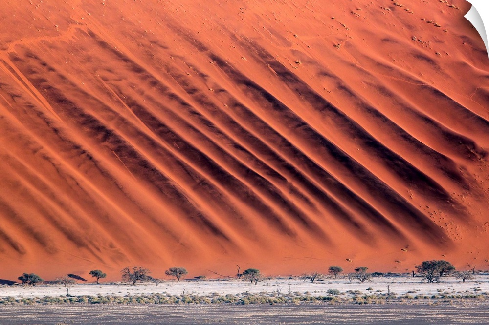Namibia, Namib Desert, Namib-Naukluft National Park, Dune pattern.