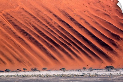 Namibia, Namib Desert, Namib-Naukluft National Park, Dune Pattern