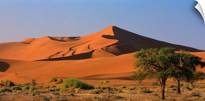 Namibia, Namib Desert, Namib Naukluft Park, Sossusvlei dunes