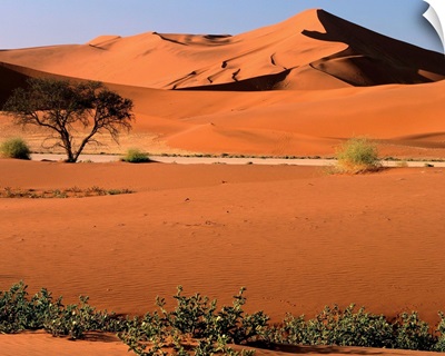Namibia, Namib Dessert,  Namib Naukluft Park, Sossusvlei Dunes