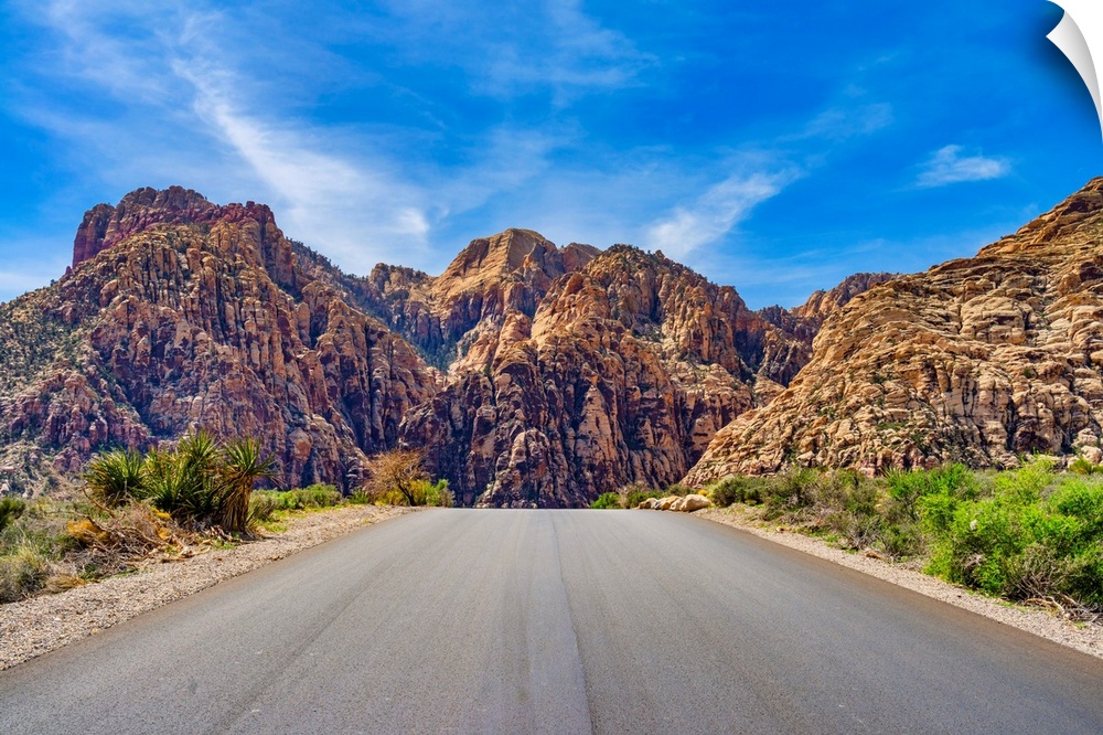 Nevada, Mojave Desert, Red Rock Canyon National Conservation Area.
