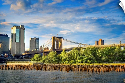 New York City, Brooklyn, View Of Brooklyn Bridge From Park