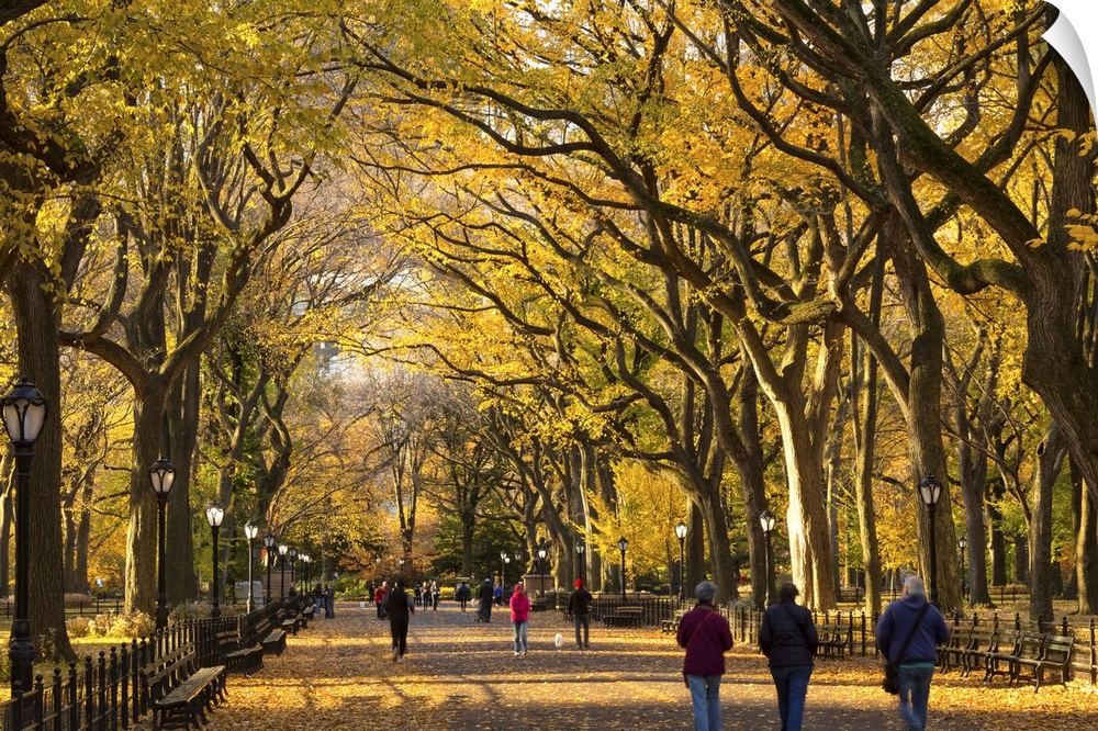 USA, New York City, Manhattan, Central Park, Autumn season.