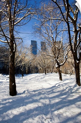 New York, New York City, Winter in Central Park