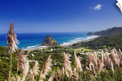 New Zealand, North Island, Auckland, Piha beach