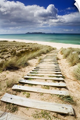 New Zealand, North Island, Coromandel Peninsula, Opoutere beach