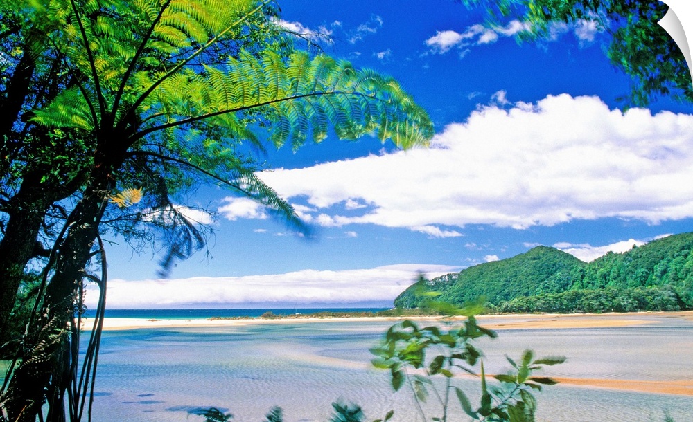 New Zealand, South Island, Abel Tasman National Park, beach