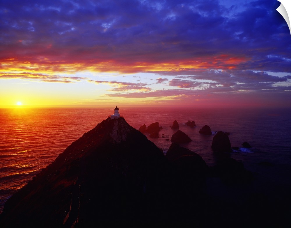 New Zealand, South Island, Cattlins CoaSt. Nugget Point