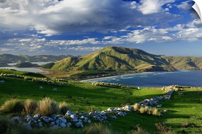 New Zealand, South Island, Central Otago, Otago Peninsula, view on Allans beach