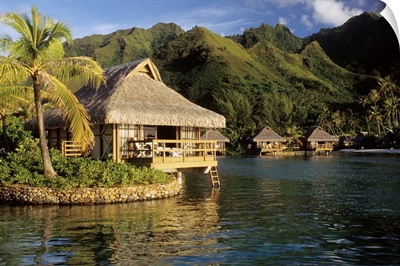 Oceania, French Polynesia, Society Islands, Polynesia, Moorea island