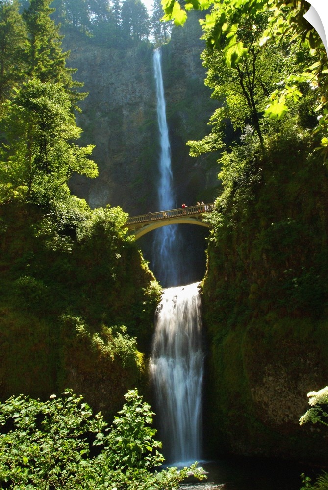 United States, USA, Oregon, Multnomah Falls