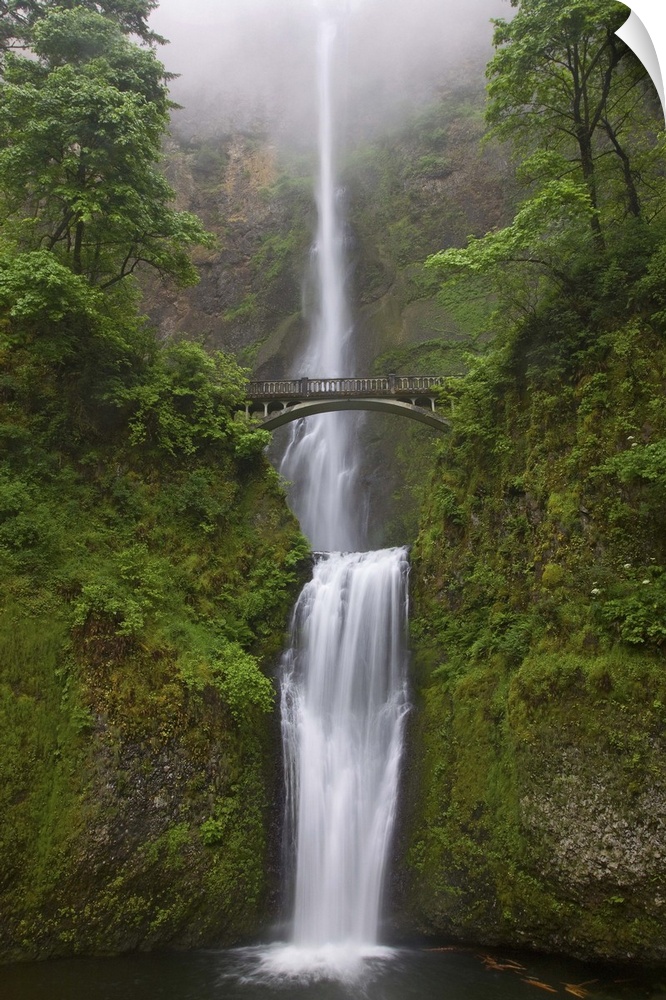 USA, Oregon, Multnomah falls, Columbia River Gorge region.