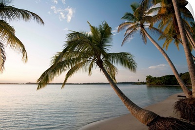 Panama, Bocas del Toro, Colon Island, Sunset on Starfish beach