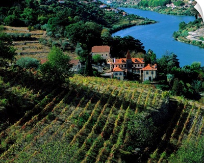 Portugal, Douro Valley, Douro river, vineyards nearby Regua