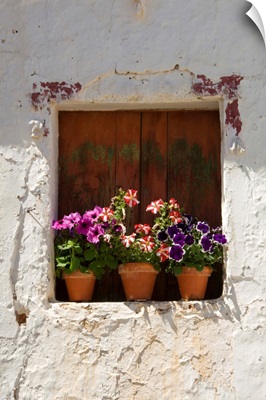 Portugal, Faro, Algarve, Flower pots, Odeleite in The Sotavento