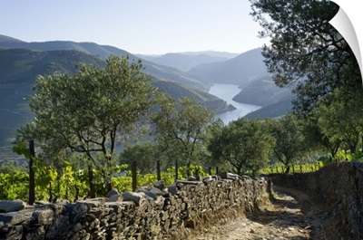 Portugal, Vila Real, Douro, Tras-os-Montes e Alto Douro, The Douro valley