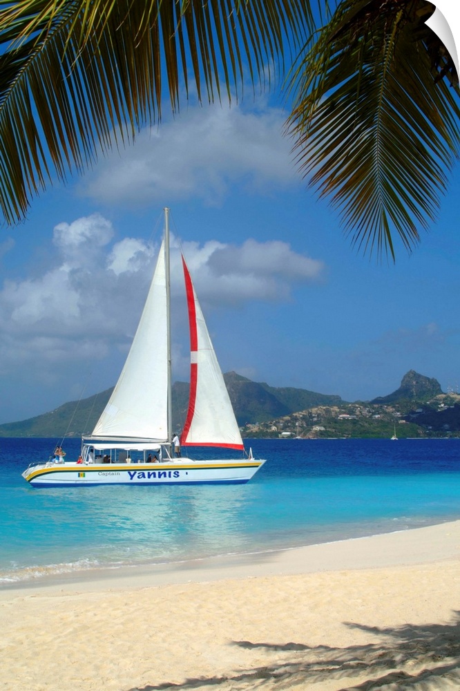 Saint Vincent and the Grenadines, Caribbean, Palm Island, Catamaran