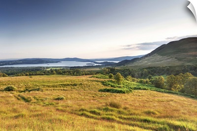 Scotland, Loch Lomond, Field with the Conic Hill in the background at dusk
