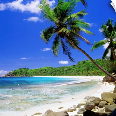 Seychelles, Mahe island, Tropics, Indian ocean, Anse Intendance