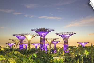 Singapore City, Gardens by the Bay park at sunrise