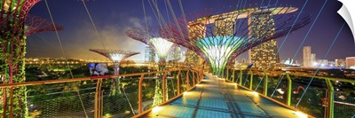 Singapore City, Marina Bay Sands and Gardens by the Bay trees