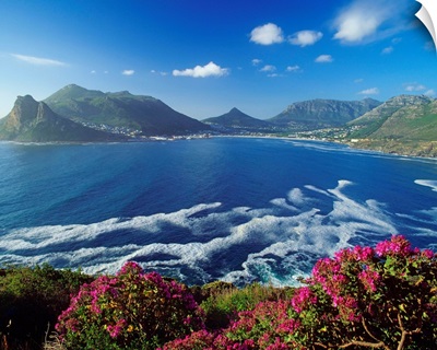 South Africa, Cape Peninsula, Hout Bay
