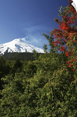 South America, Chile, Los Lagos, View of Villarica volcan