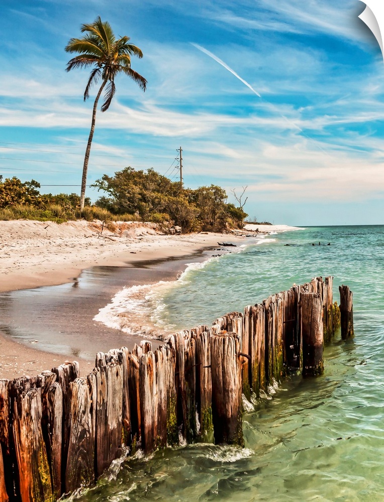 Southwest Florida, Gulf of Mexico, Sanibel Island, beach scene.