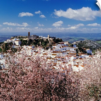 Spain, Andalusia, Casares, Pueblos Blancos, Casares town, almond trees