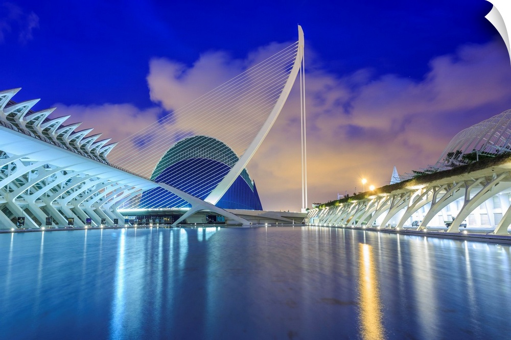 Spain, Valencia, City of the Arts and Sciences at sunset.